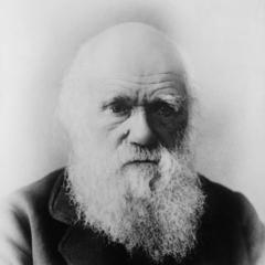 quotes and sayings of Charles Darwin