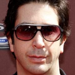 quotes and sayings of David Schwimmer