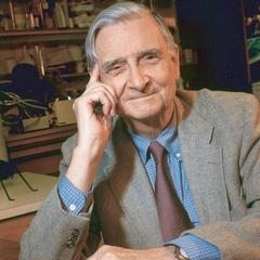 quotes and sayings of E. O. Wilson