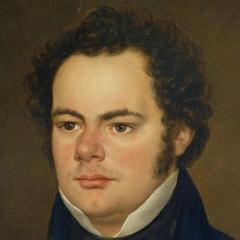 quotes and sayings of Franz Schubert