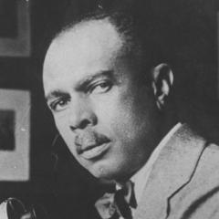 quotes and sayings of James Weldon Johnson