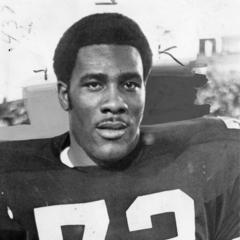 quotes and sayings of Joe Greene