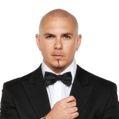 quotes and sayings of Pitbull