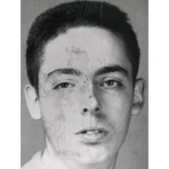 quotes and sayings of Thomas Pynchon